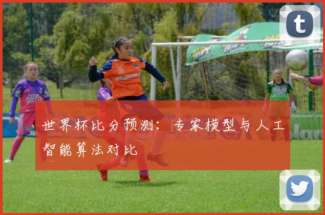 世界杯比分预测：专家模型与人工智能算法对比