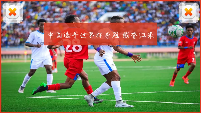 中国选手世界杯夺冠 载誉归来