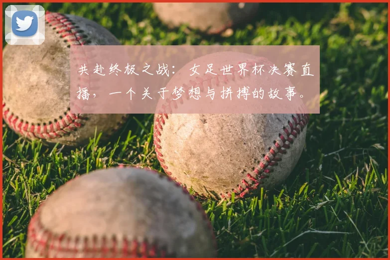 共赴终极之战：女足世界杯决赛直播，一个关于梦想与拼搏的故事。