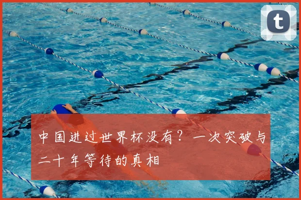 中国进过世界杯没有?一次突破与二十年等待的真相