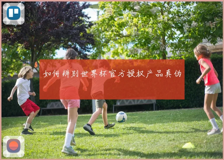 如何辨别世界杯官方授权产品真伪