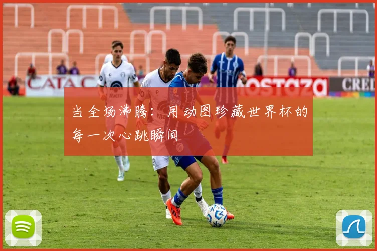 当全场沸腾：用动图珍藏世界杯的每一次心跳瞬间