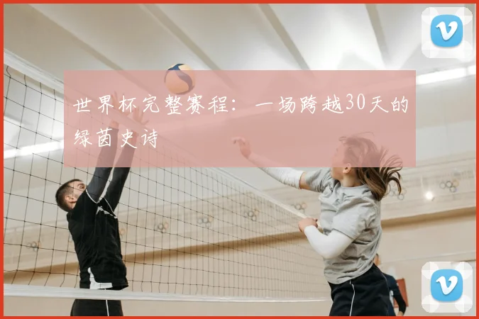 世界杯完整赛程:一场跨越30天的绿茵史诗
