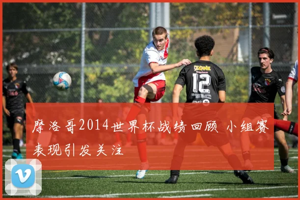 摩洛哥2014世界杯战绩回顾 小组赛表现引发关注