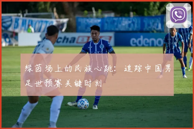绿茵场上的民族心跳：追踪中国男足世预赛关键时刻