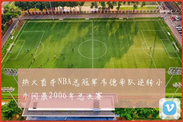 热火首夺NBA总冠军韦德率队逆转小牛问鼎2006年总决赛