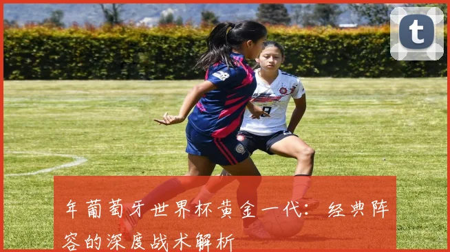 年葡萄牙世界杯黄金一代：经典阵容的深度战术解析