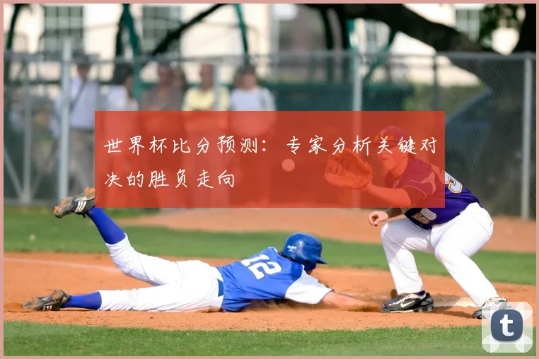 世界杯比分预测：专家分析关键对决的胜负走向