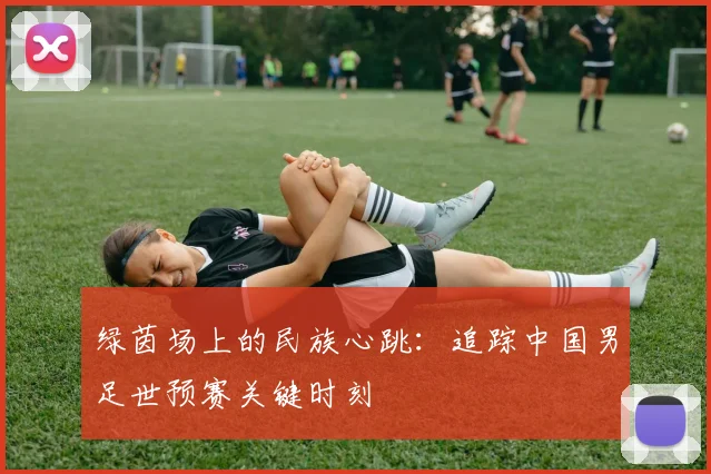 绿茵场上的民族心跳：追踪中国男足世预赛关键时刻