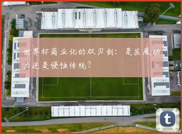 世界杯商业化的双刃剑:是发展动力还是侵蚀传统?