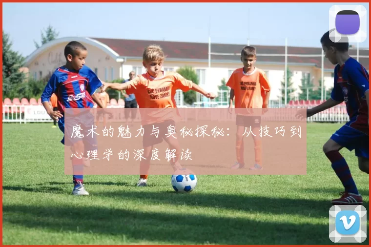 魔术的魅力与奥秘探秘：从技巧到心理学的深度解读