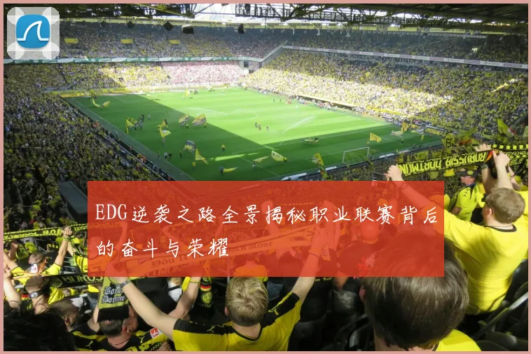 EDG逆袭之路全景揭秘职业联赛背后的奋斗与荣耀