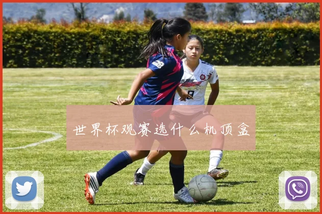 世界杯观赛选什么机顶盒