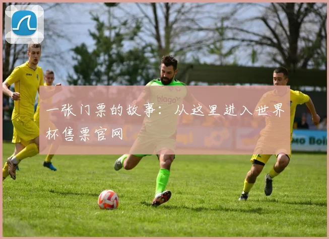 一张门票的故事：从这里进入世界杯售票官网