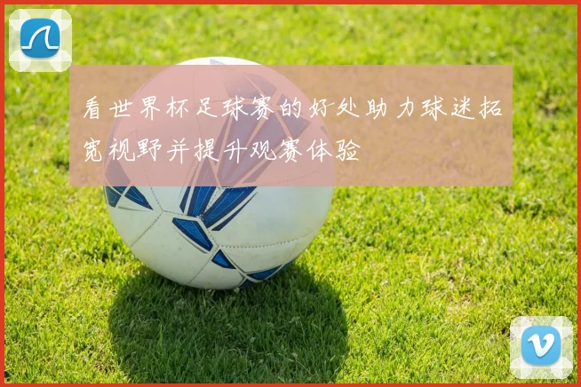 看世界杯足球赛的好处助力球迷拓宽视野并提升观赛体验